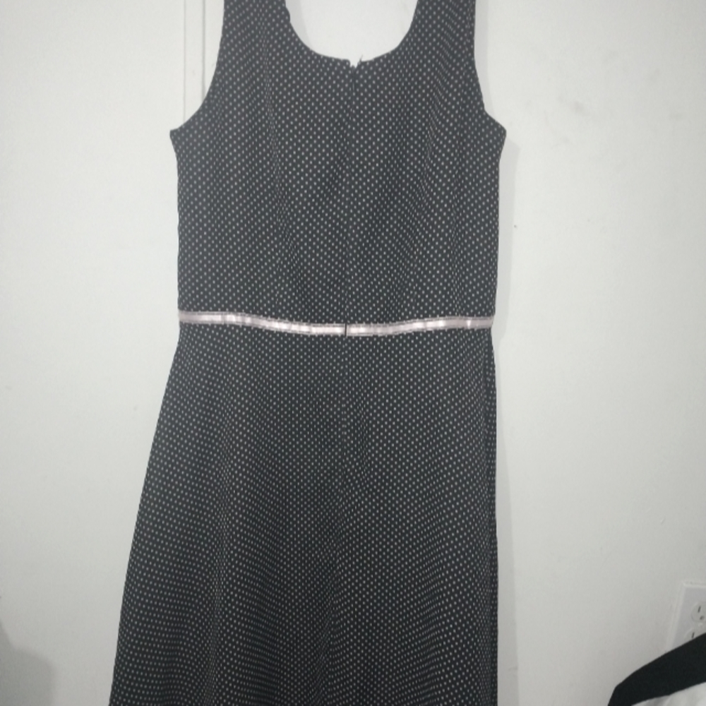 Polka Dot Knee Length Dress